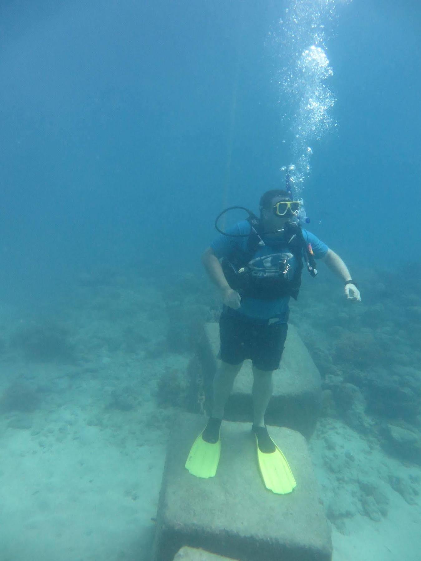 Albergue Reef Backpackers Cairns Exterior foto